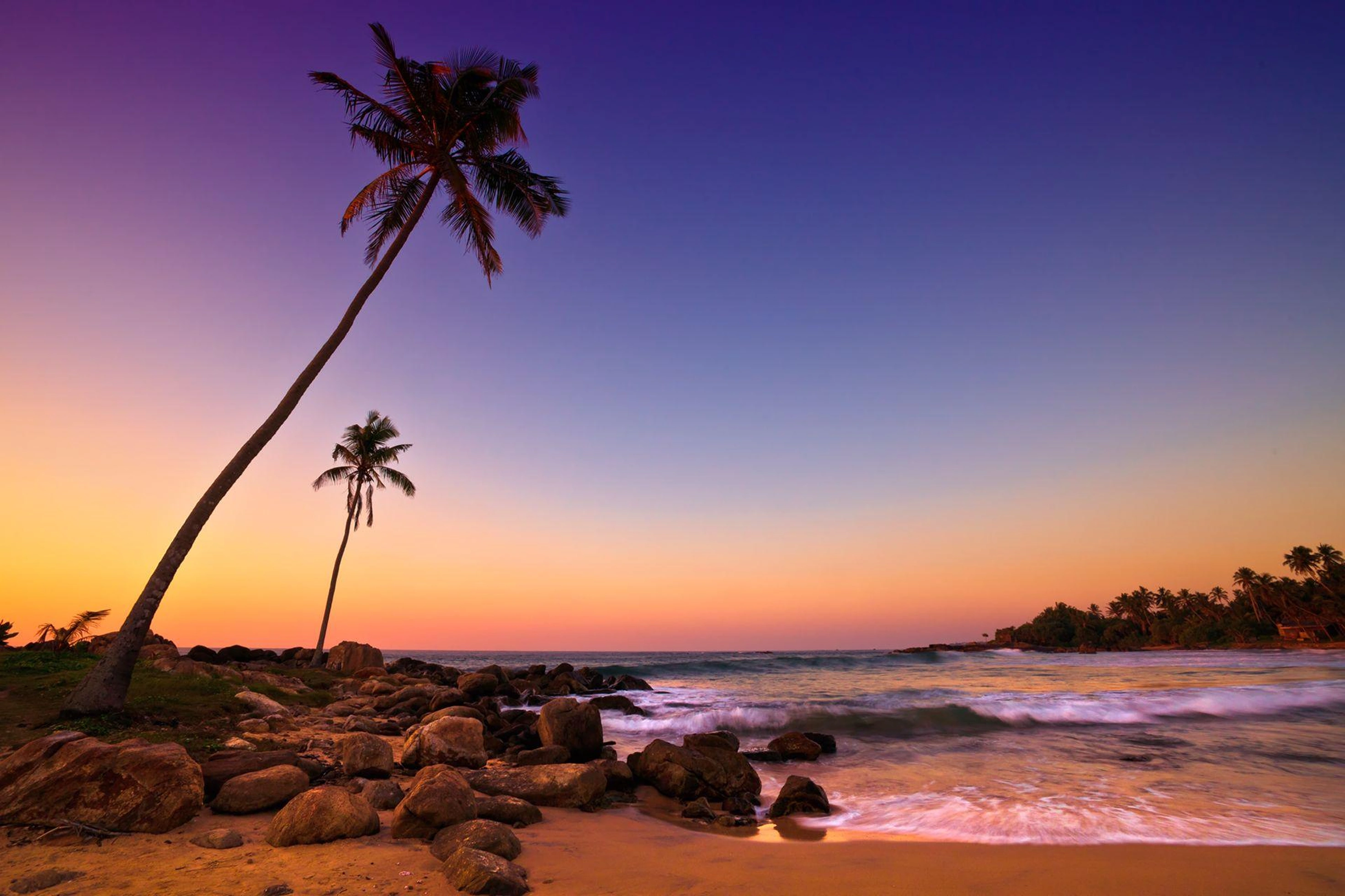 Tropical beach scene